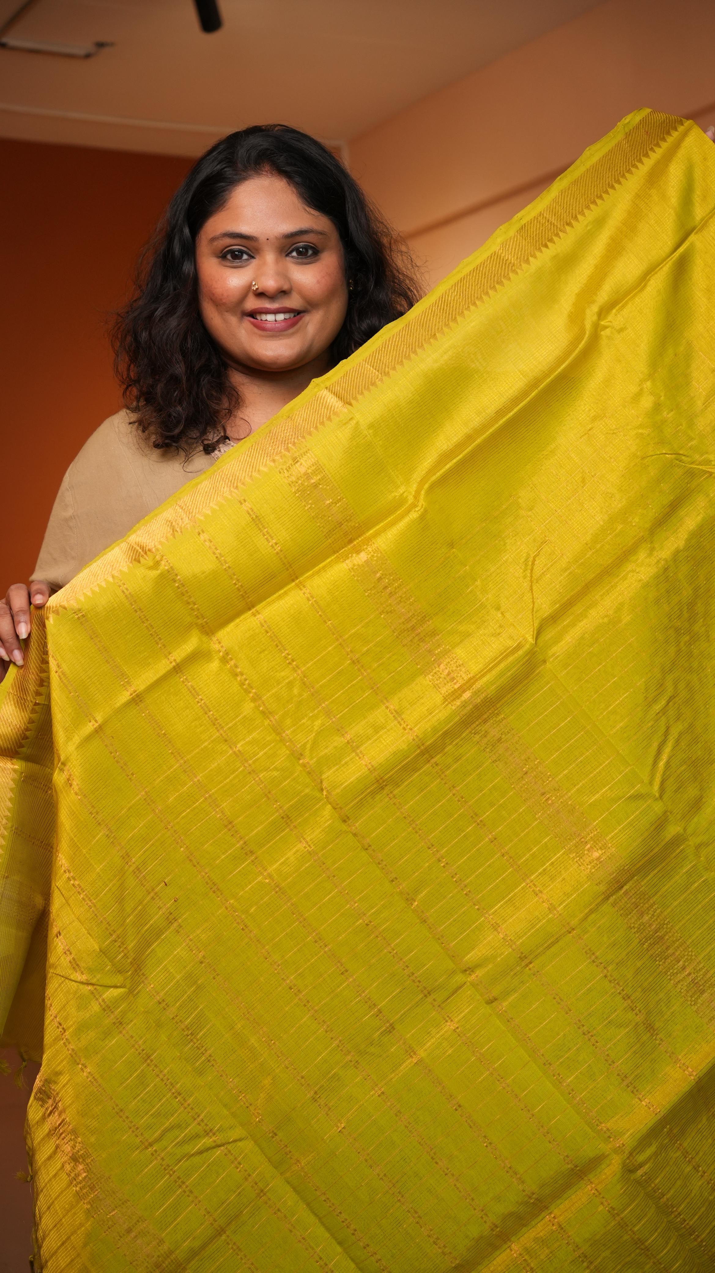 Mangalagiri Zari Checks Silk Cotton