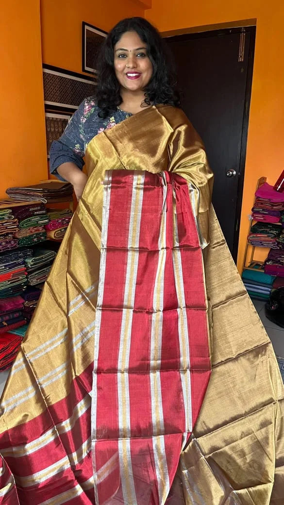 Chanderi Silk and Tissue Saree 51-12-01-05 Gold with Brown