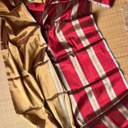 Chanderi Silk and Tissue Saree 51-12-01-05 Gold with Brown