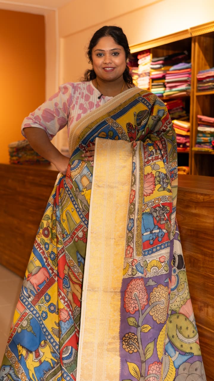 Pen Kalamkari Saree - 02-12-01-02 (Multi Colour)