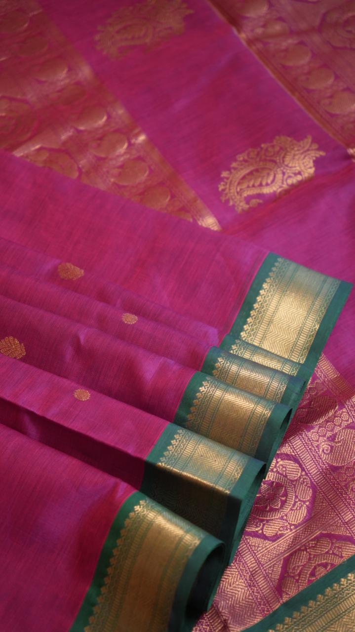 Kanchivaram Silk Cotton Saree - 01-10-03-08 (Pinkish Regal Blaze)