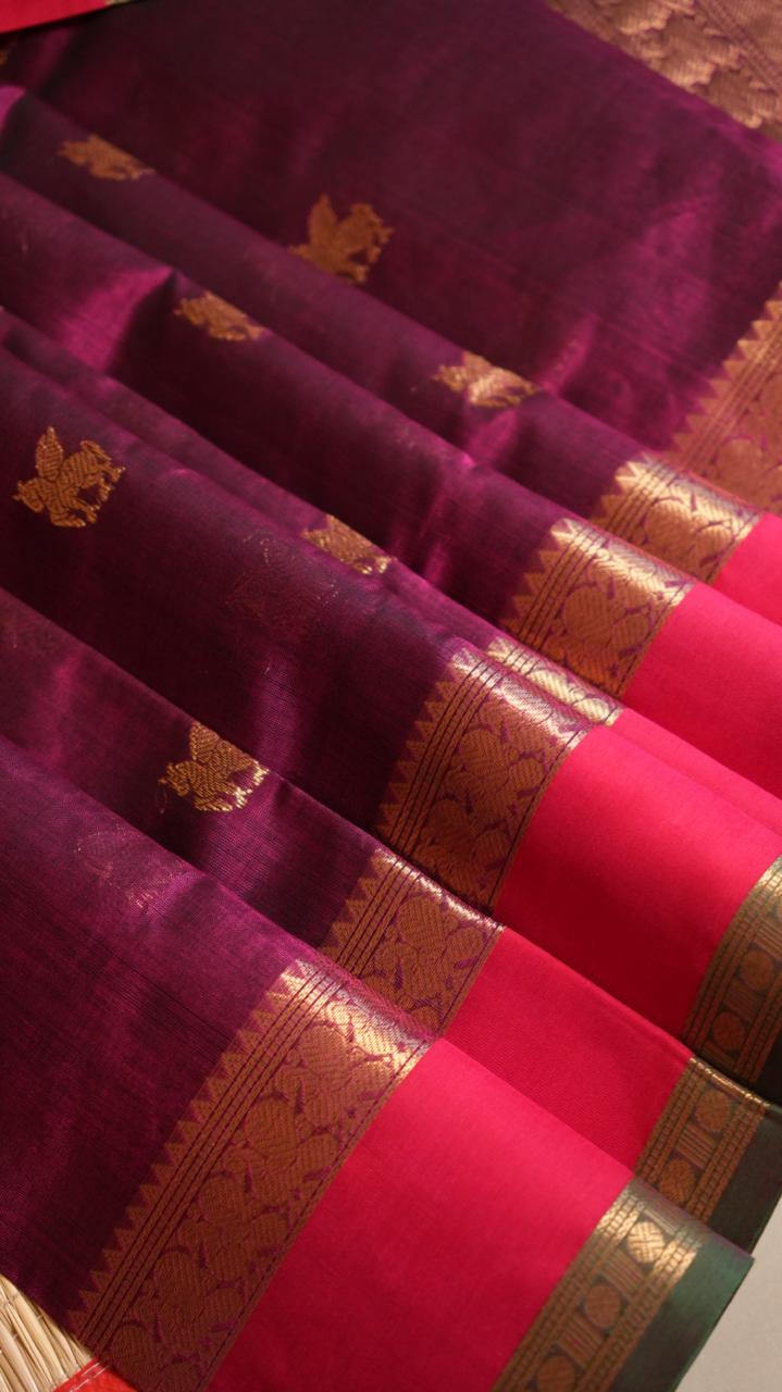 Kanchivaram Silk Cotton Saree - 01-10-03-09 (Velvet Majesty)