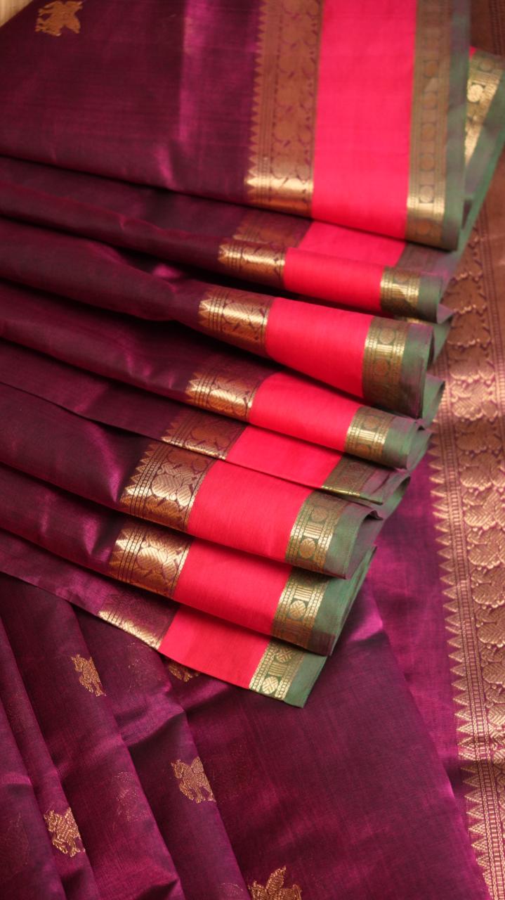 Kanchivaram Silk Cotton Saree - 01-10-03-09 (Velvet Majesty)