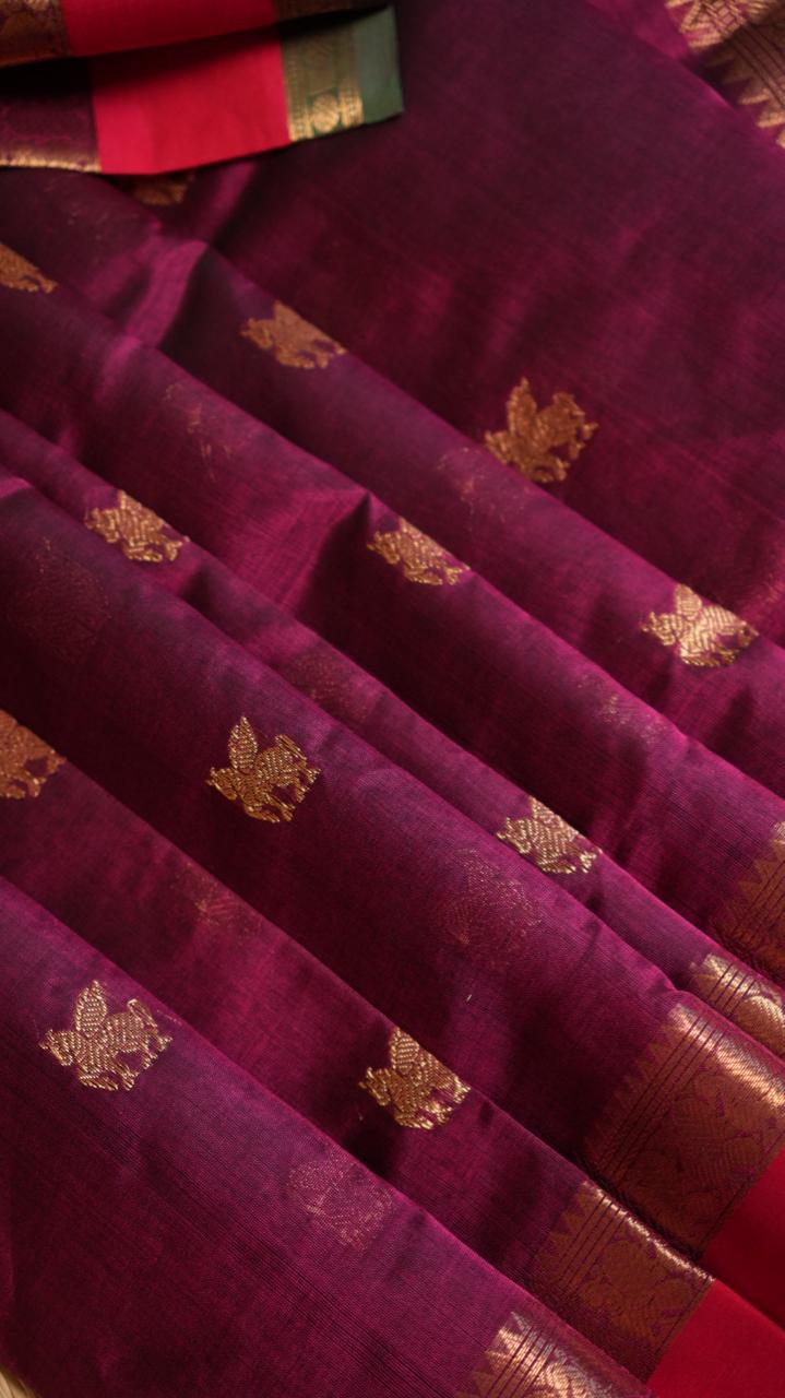 Kanchivaram Silk Cotton Saree - 01-10-03-09 (Velvet Majesty)