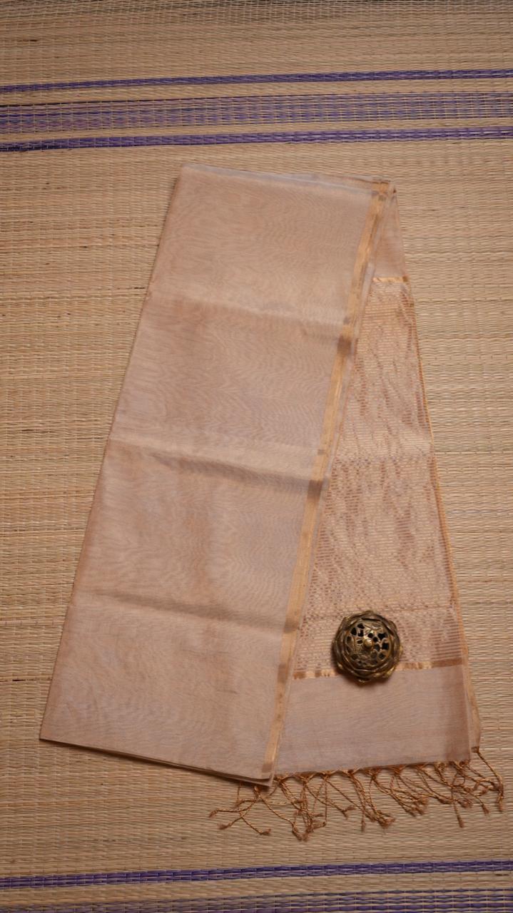 Maheshwari Silk Cotton Plain Tissue Saree - 05-2B-01-20 (BIRCH BARK)