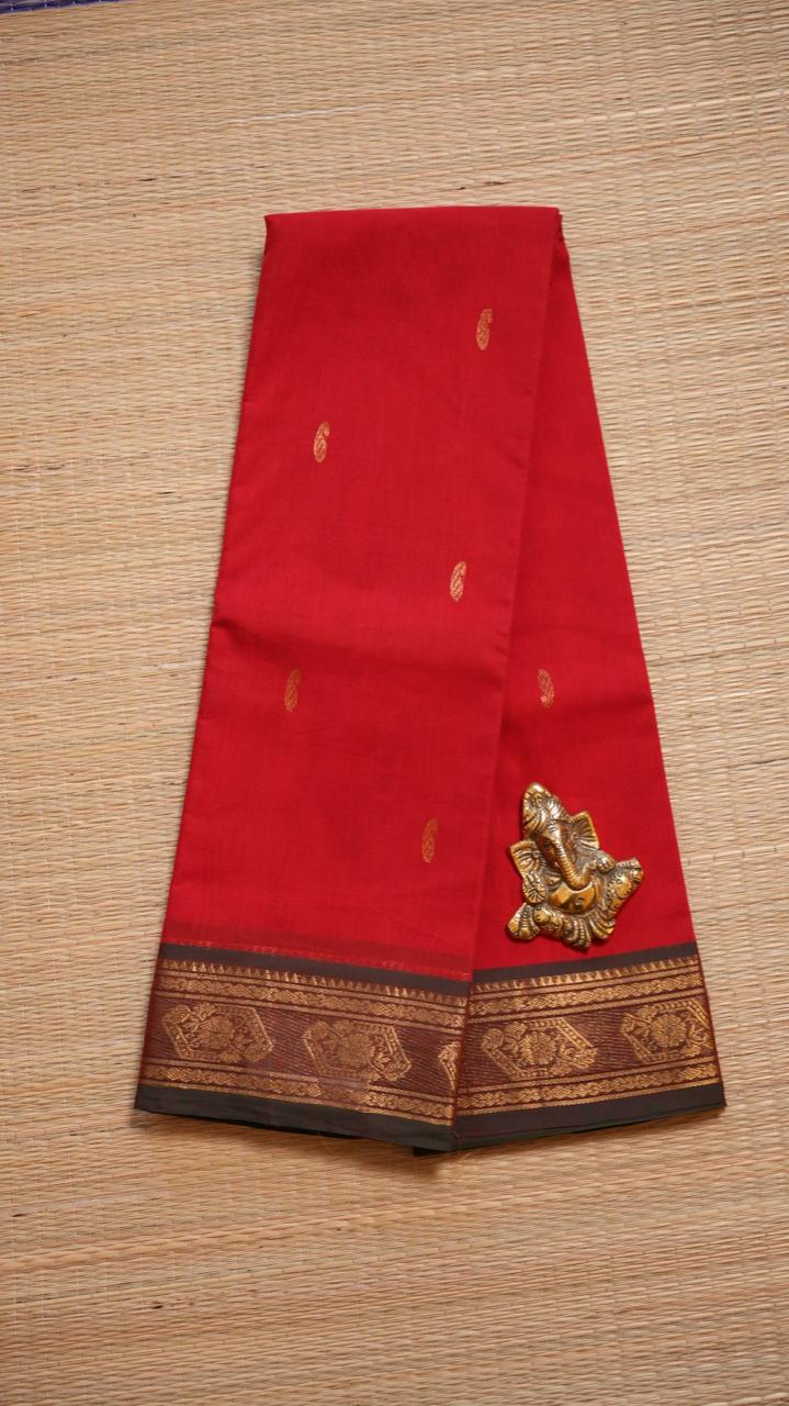 Mercerised Kanchi Cotton Saree - 01-03-11-03 (TOMATO JUICE)