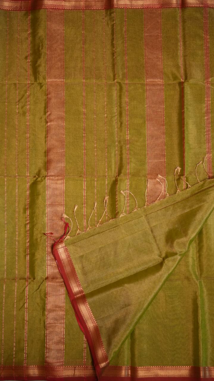 Maheshwari Silk Cotton Plain Tissue Saree - 05-02B-05-06 (PISTACHIO CREAM)