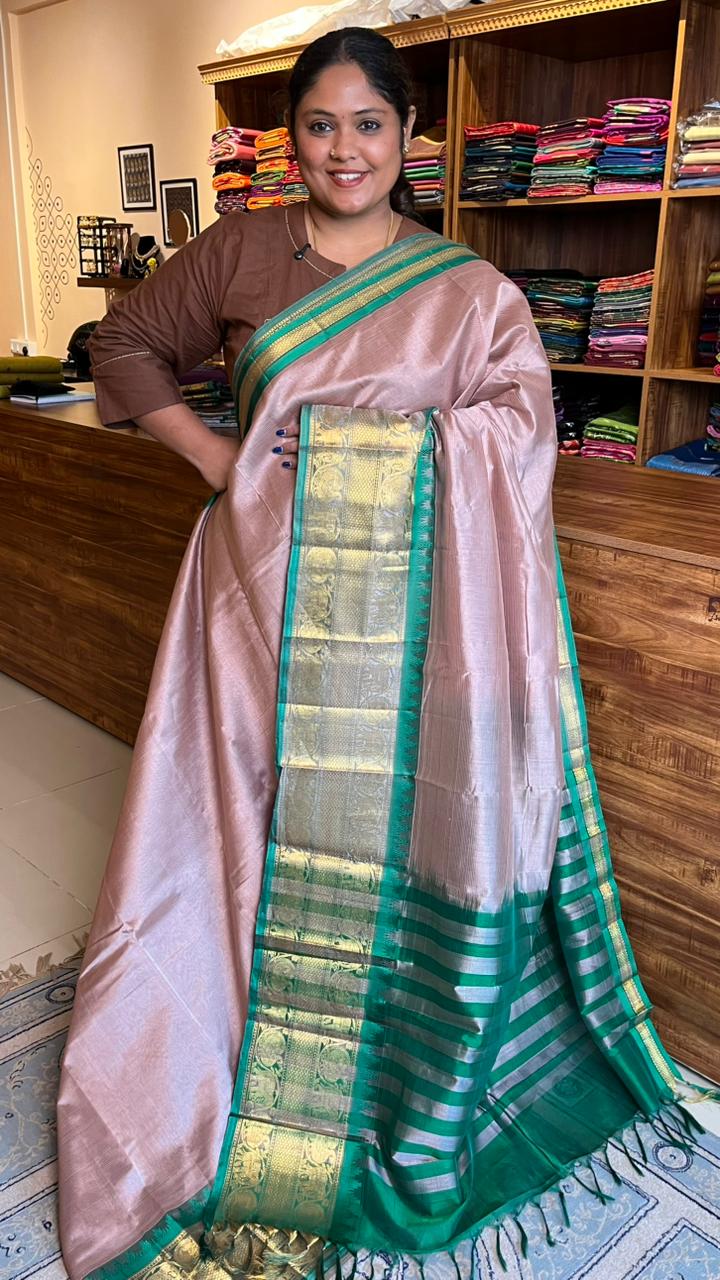 Mangalgiri Silk Cotton Kanchi Border Saree - 15-01-01-01 (SHADE 1) CHIKOO MANGALGIRI