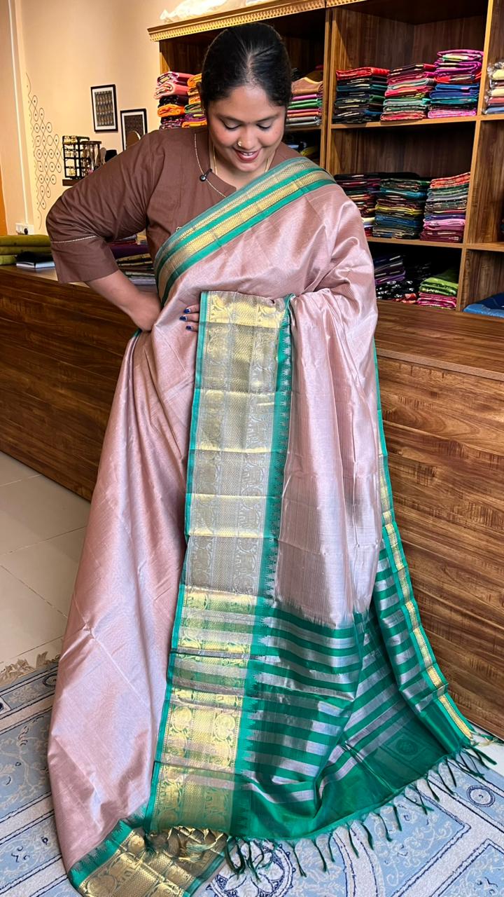 Mangalgiri Silk Cotton Kanchi Border Saree - 15-01-01-01 (SHADE 1) CHIKOO MANGALGIRI