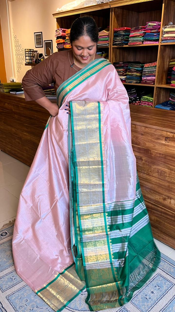 Mangalgiri Silk Cotton Kanchi Border Saree - 15-01-01-01 (SHADE 2) CHIKOO MANGALGIRI