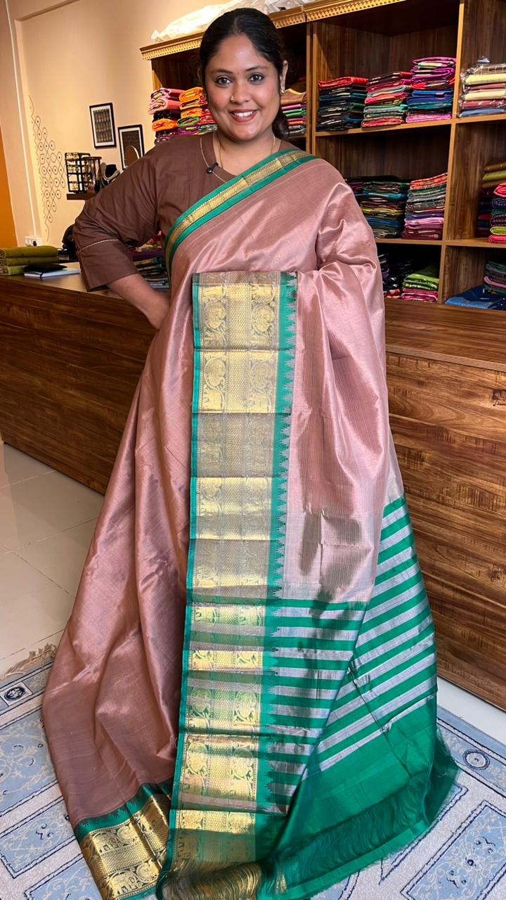 Mangalgiri Silk Cotton Kanchi Border Saree - 15-01-01-01 (SHADE 3) CHIKOO MANGALGIRI