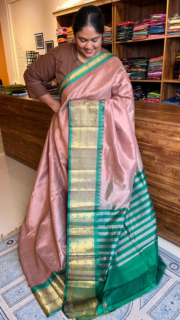 Mangalgiri Silk Cotton Kanchi Border Saree - 15-01-01-01 (SHADE 3) CHIKOO MANGALGIRI