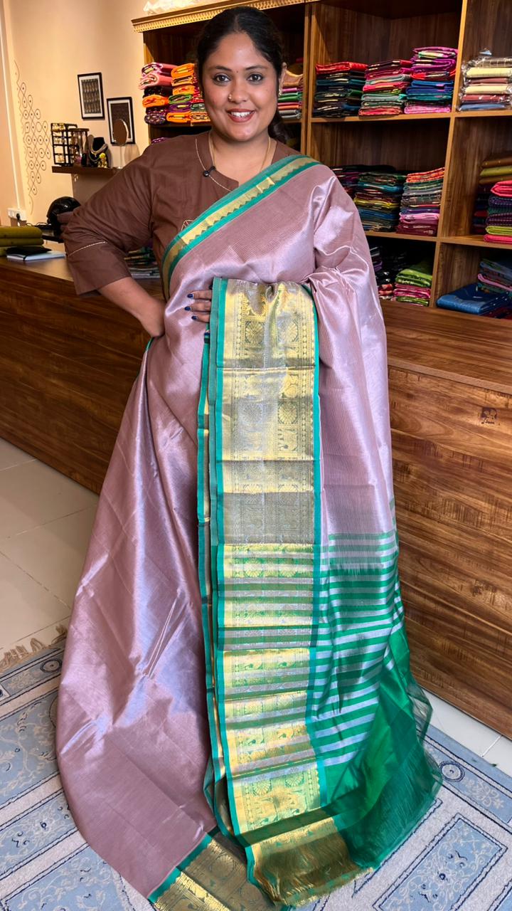 Mangalgiri Silk Cotton Kanchi Border Saree - 15-01-01-01 (SHADE 4) CHIKOO MANGALGIRI