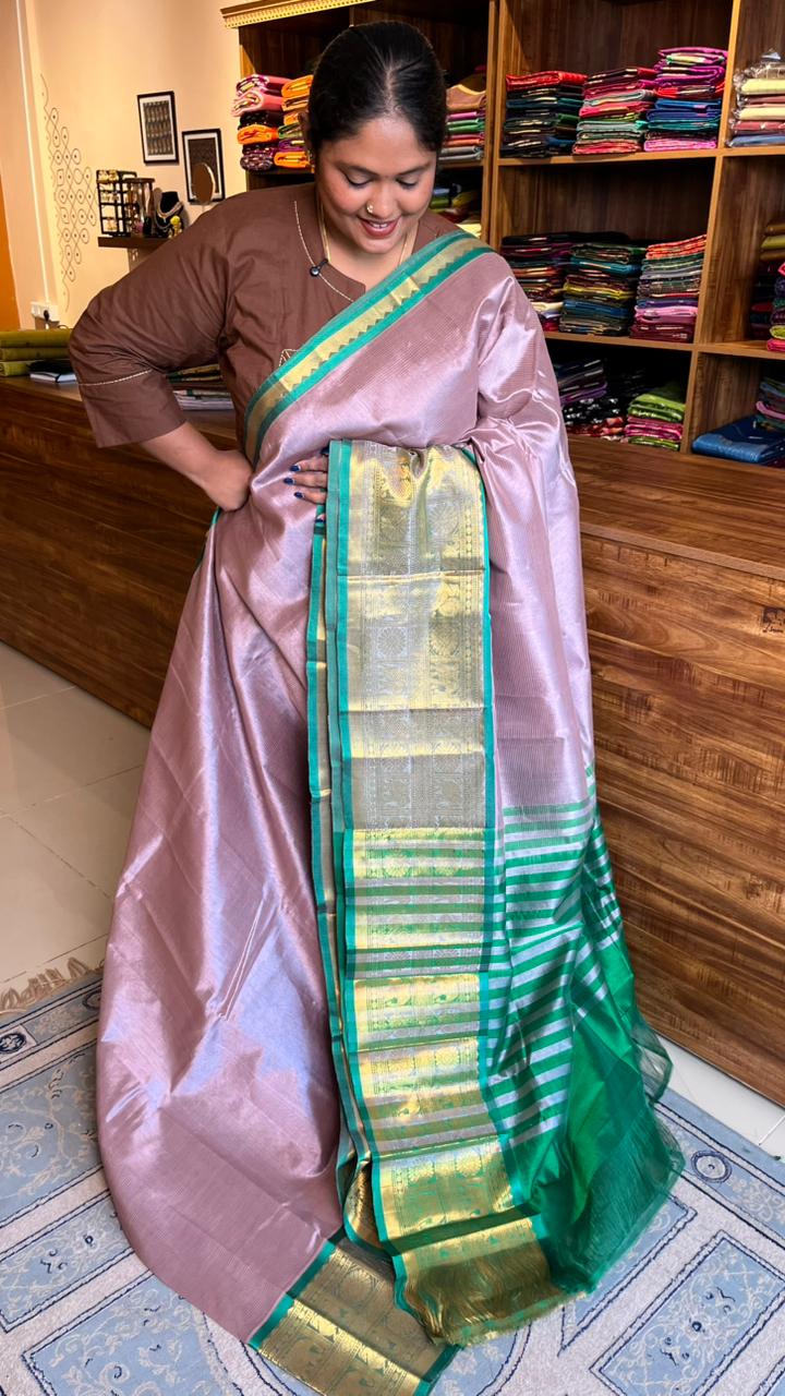 Mangalgiri Silk Cotton Kanchi Border Saree - 15-01-01-01 (SHADE 4) CHIKOO MANGALGIRI