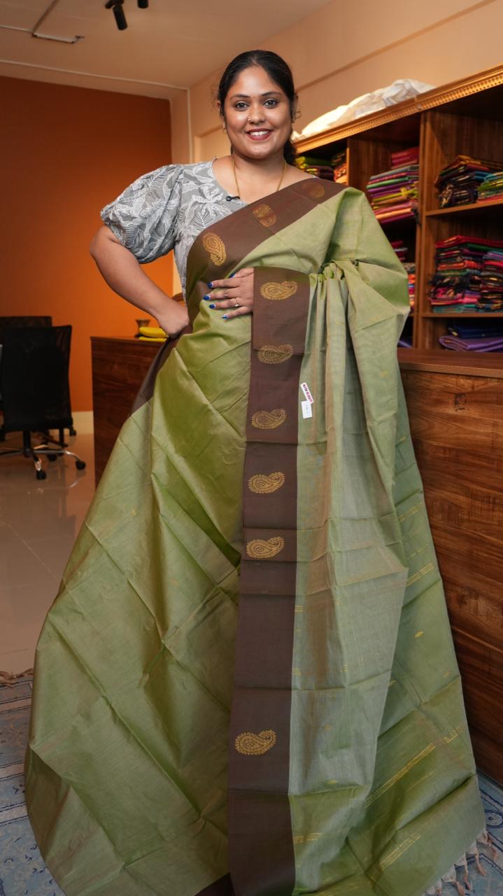 Handwoven Kanchi Cotton Sarees - 01-03-07-04 (PISTA SMOOTHIE)