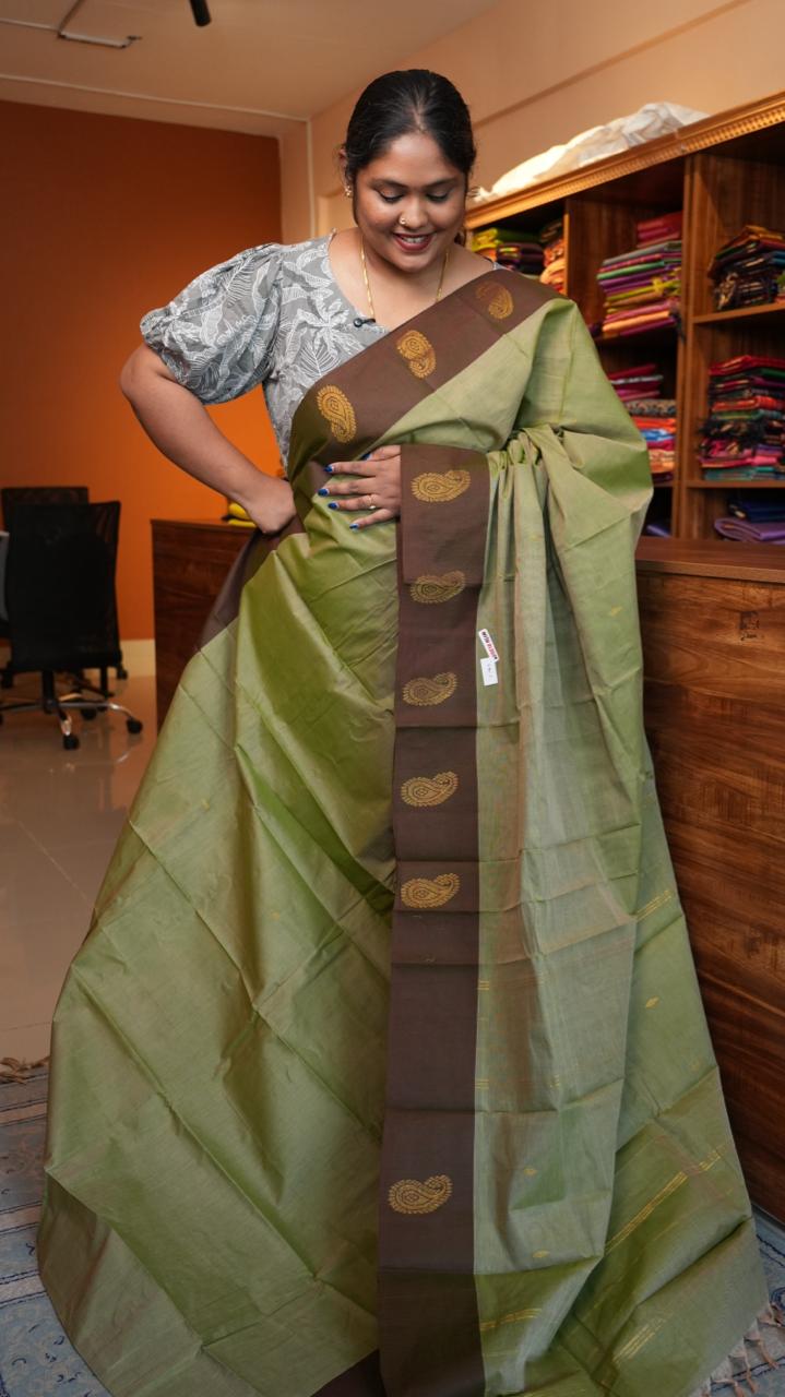 Handwoven Kanchi Cotton Sarees - 01-03-07-04 (PISTA SMOOTHIE)
