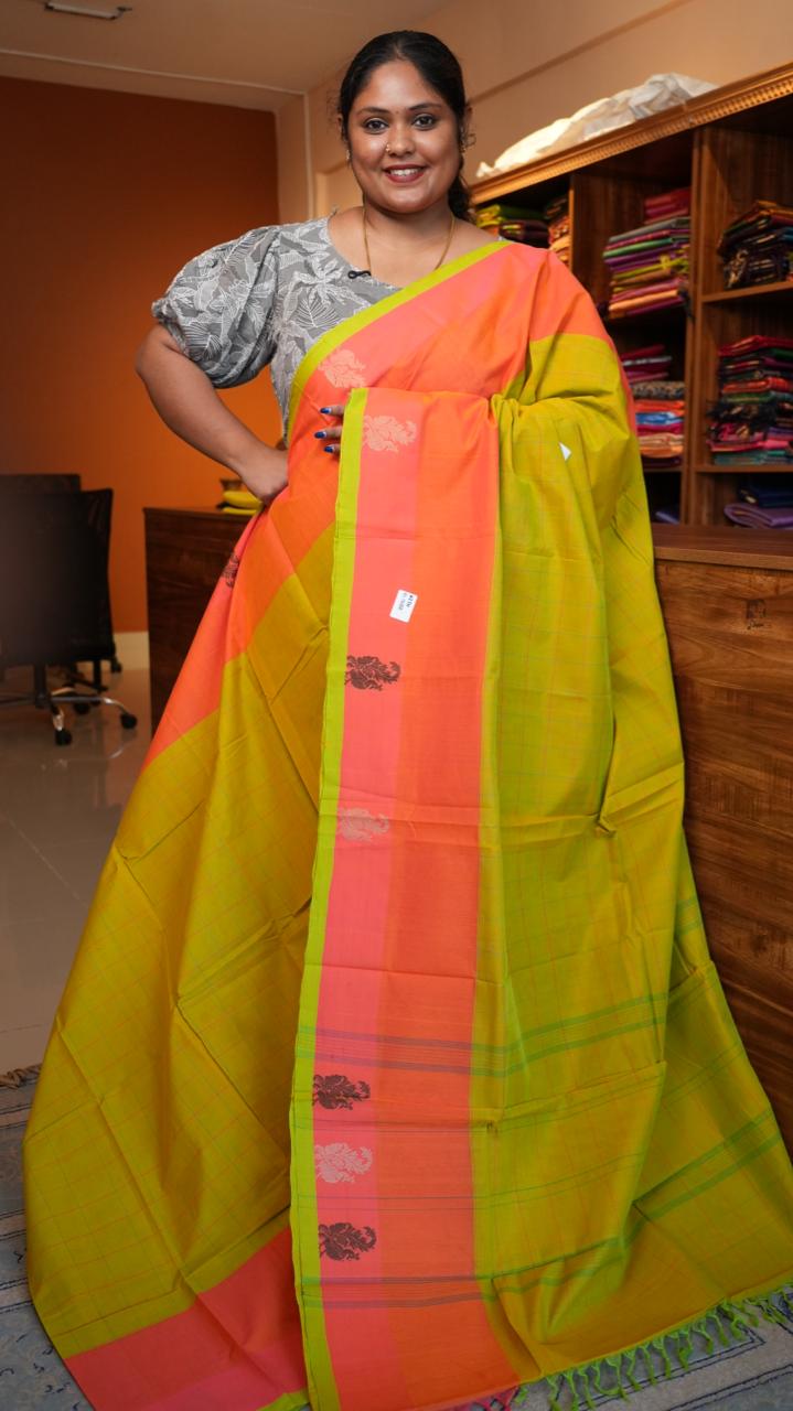 Handwoven Kanchi Cotton Sarees - 01-03-07-09 (SWEET LIME JUICE)