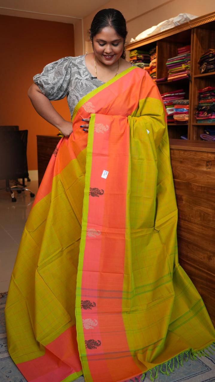 Handwoven Kanchi Cotton Sarees - 01-03-07-09 (SWEET LIME JUICE)