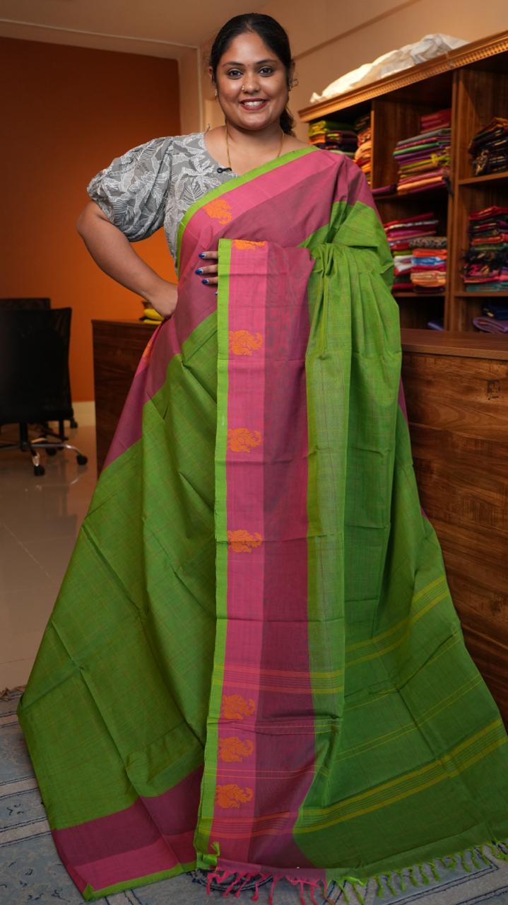 Handwoven Kanchi Cotton Sarees - 01-03-07-10 (KIWI SMOOTHIE)