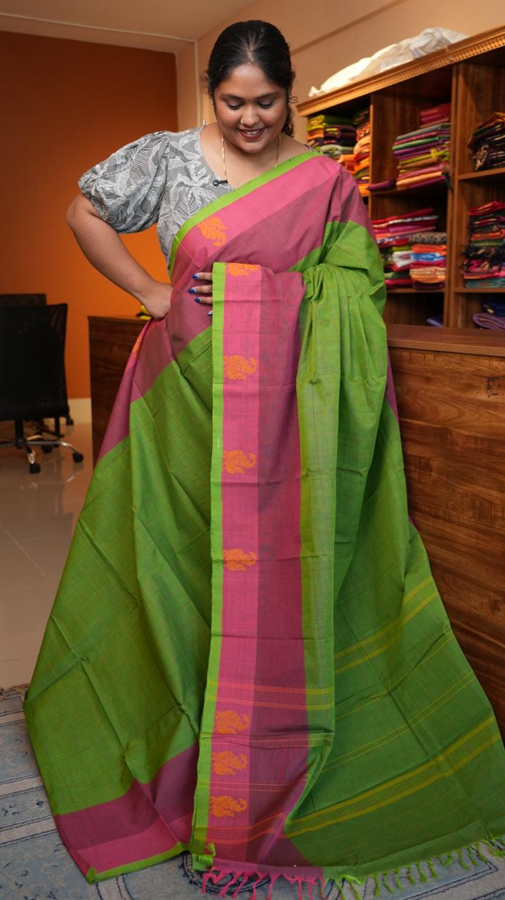 Handwoven Kanchi Cotton Sarees - 01-03-07-10 (KIWI SMOOTHIE)