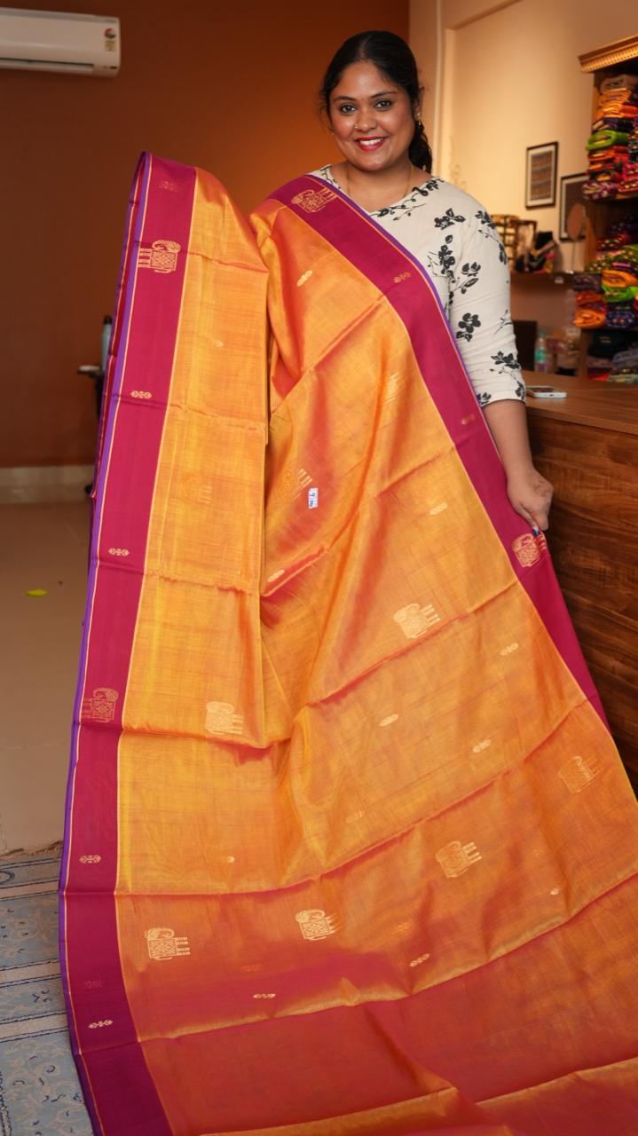 Devendra 10.5 Yards Madisar - 12-03C-DEV-BB-10.5Y-06-01 (VINVELI NEELAM)