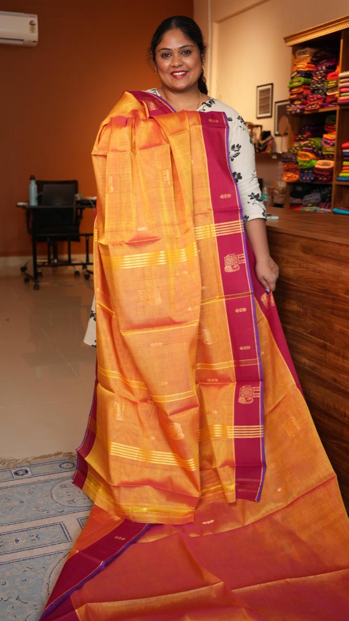 Devendra 10.5 Yards Madisar - 12-03C-DEV-BB-10.5Y-06-01 (VINVELI NEELAM)