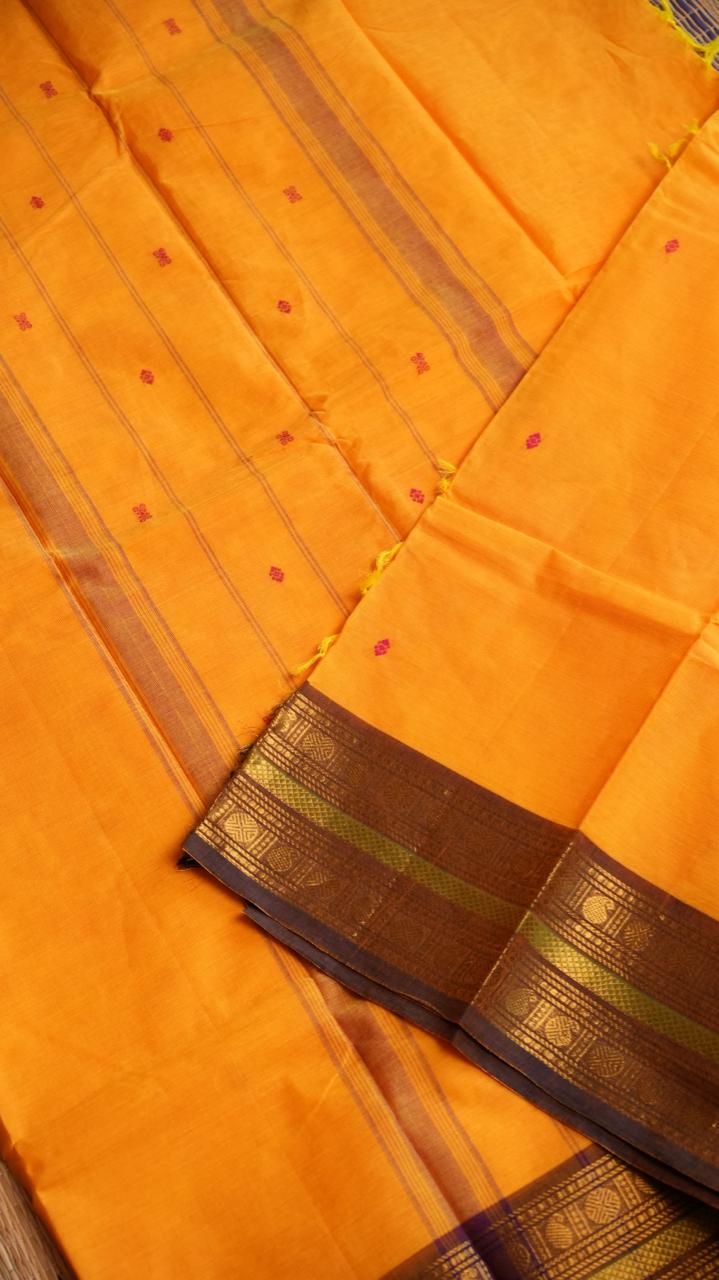 Kanchi Cotton Saree - 01-03-03-07 (GOLDEN AMBER)