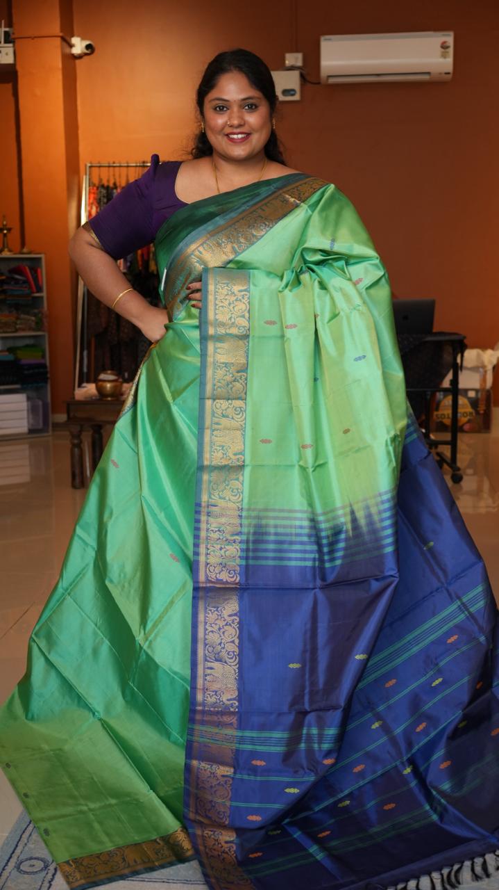 Chinnalampattu 6 Yards Saree - 03-04-01-18 (MINT MAGIC)