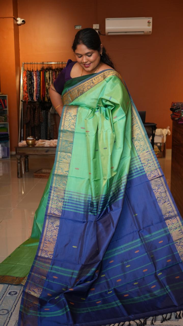 Chinnalampattu 6 Yards Saree - 03-04-01-18 (MINT MAGIC)