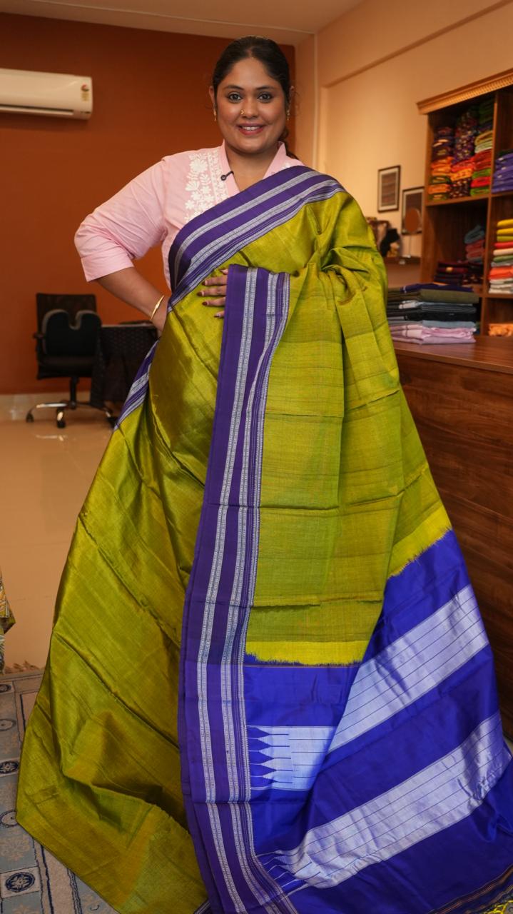 Kasuti Ilkal Saree -44-06-01-05 (PLAYGROUND GREEN)