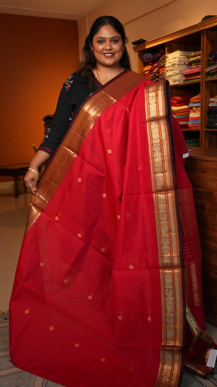 Kanchivaram Pure Silk Cotton Saree -01-08-06-01 ()