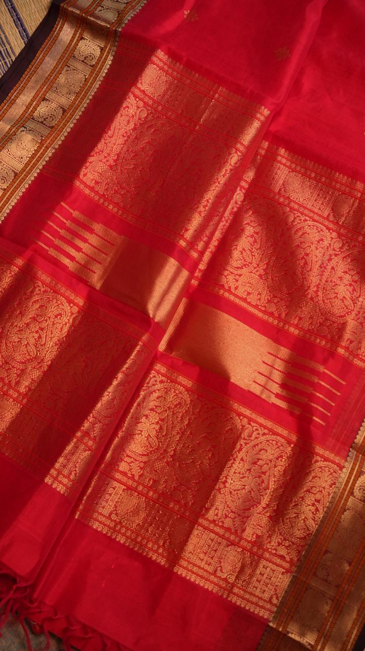Kanchivaram Pure Silk Cotton Saree -01-08-06-01 ()