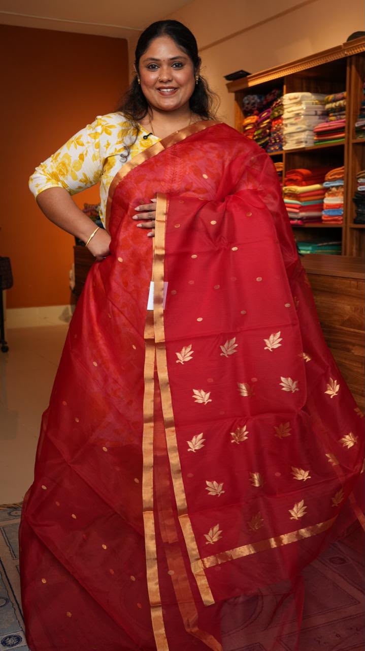 Chanderi Pure Silk Cotton Saree -51-08-02-01 (GULNAR LAAL)