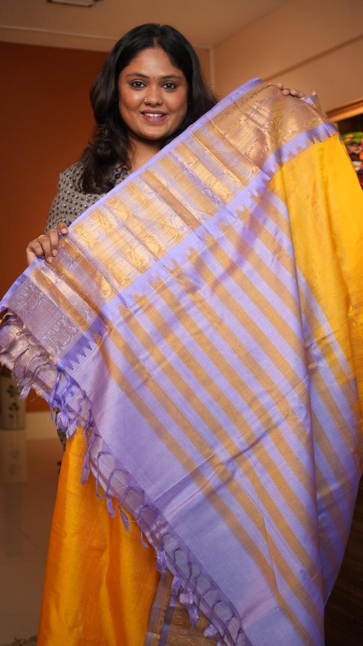 Mangalagiri Big Kanchi Border Saree -15-08-06-02 (CLEMENTINE)