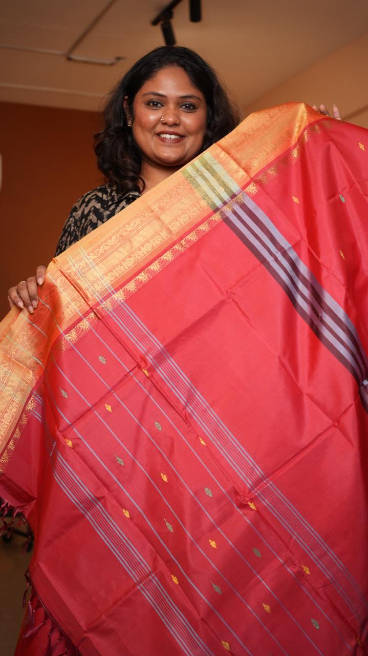 Chinnalampattu 6 Yards Saree - 03-09-02-03