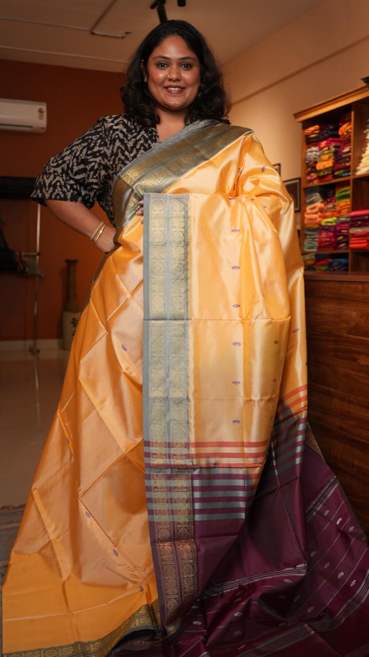 Chinnalampattu 6 Yards Saree - 03-09-02-01