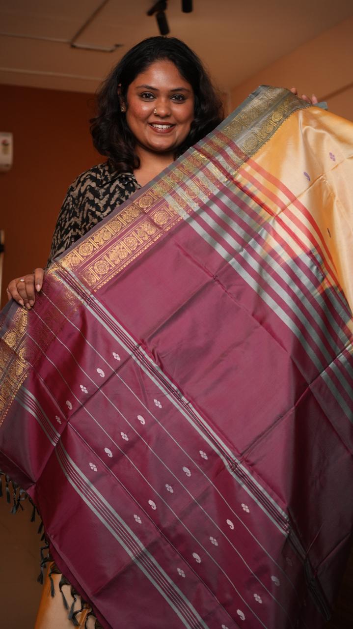 Chinnalampattu 6 Yards Saree - 03-09-02-01