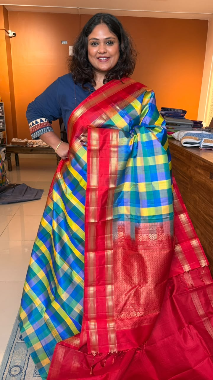 Pure Soft Silk Paalum Pazhamum Kattam Saree -04-10-01-04 (HAMSADWANI)