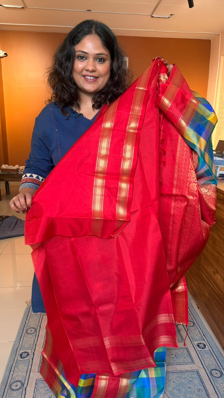 Pure Soft Silk Paalum Pazhamum Kattam Saree -04-10-01-04 (HAMSADWANI)