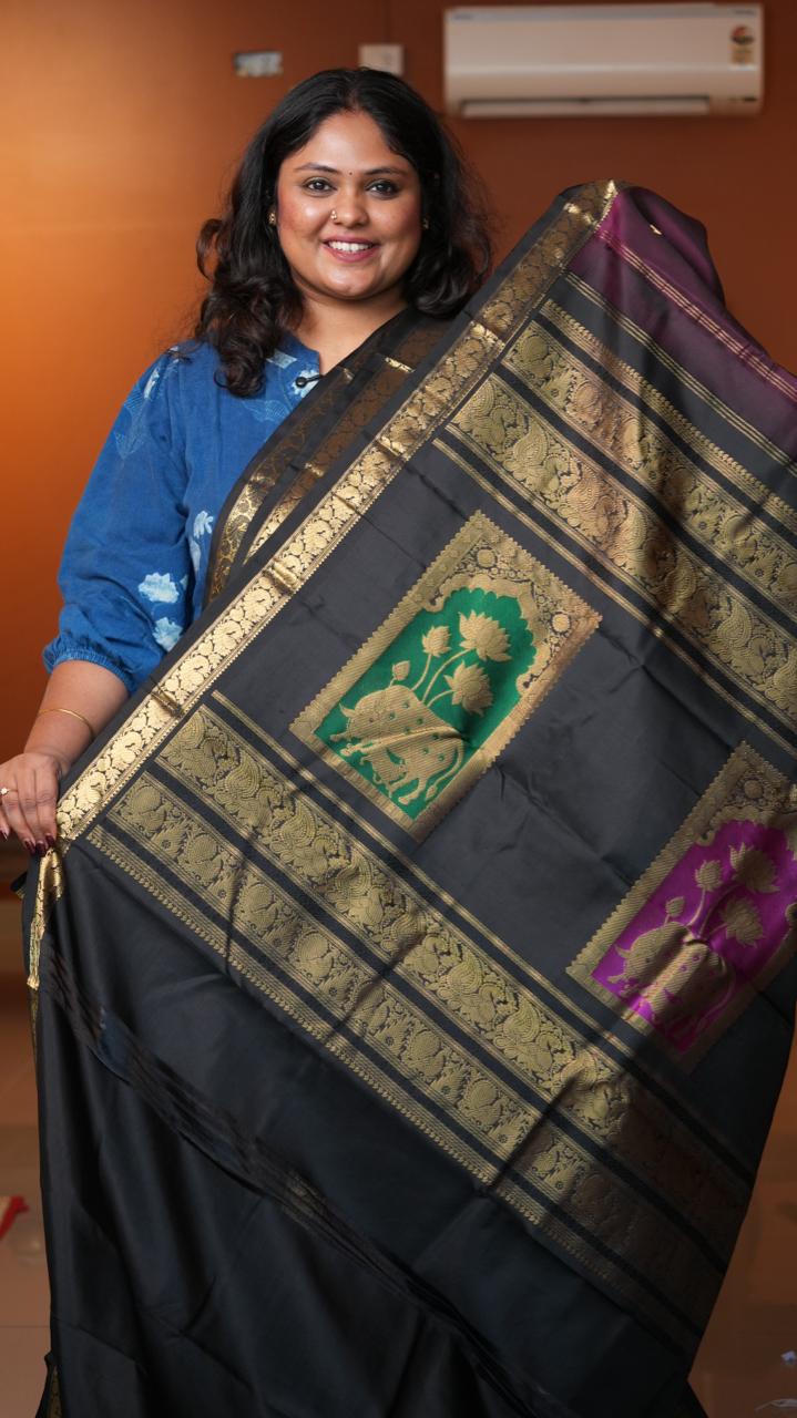 Masterpiece Kanchivaram Pure Silk Saree -01-10-16-01 (AMRATA)