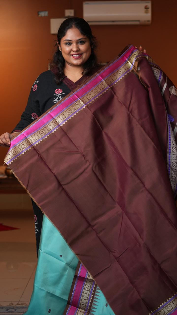 Masterpiece Kanchivaram Pure Silk Saree -01-10-19-01 (LAGOON MOCHA)