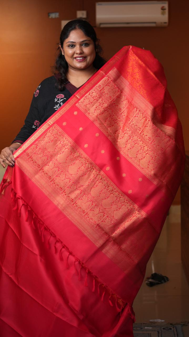 Masterpiece Kanchivaram Pure Silk Saree -01-10-15-02