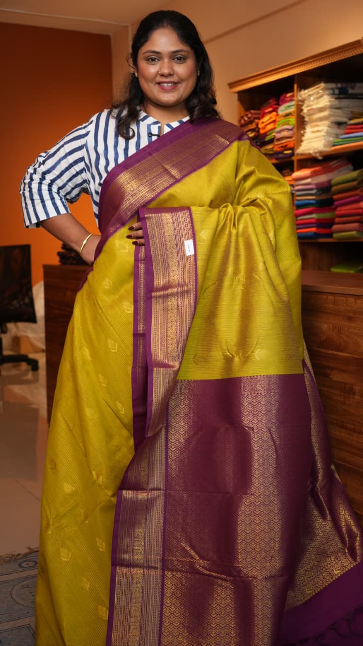 Kanchivaram Semi Silk Sarees -01-10-25-04 (SUNBIRD)