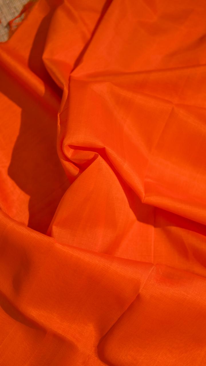 Mangalgiri Silk Cotton with kalamkari blouse - 15-11B-01-03