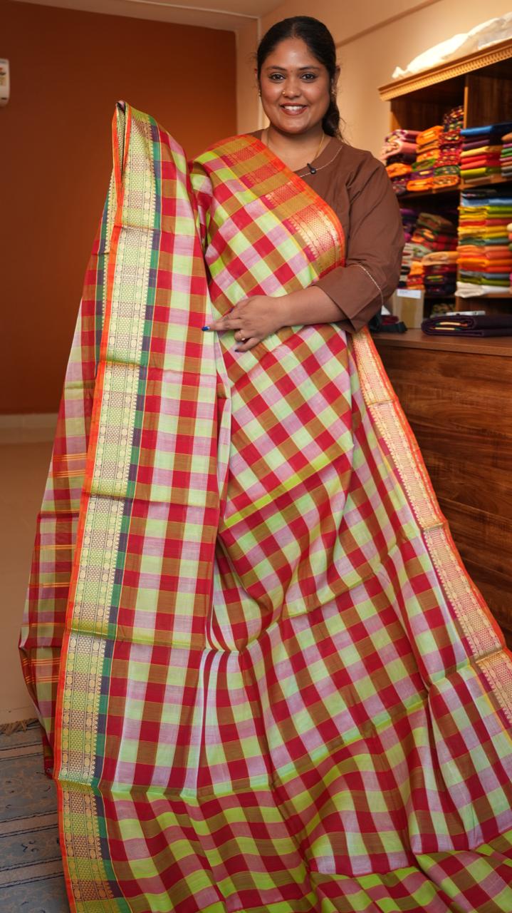 Devendra 10.5 Yards Madisar Saree - 12-12-04-10.5Y-01 (Fruit Salad)