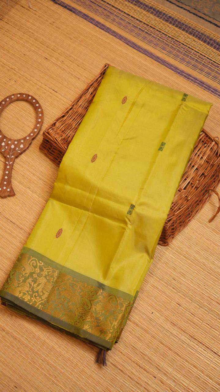 Chinnalampattu 6 Yards Saree - 03-04-01-15  (LEAFY ENCHANT)