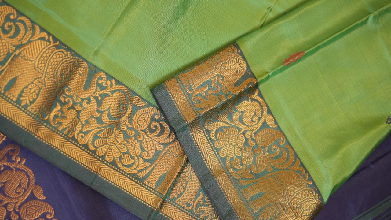 Chinnalampattu 6 Yards Saree - 03-04-01-18 (MINT MAGIC)