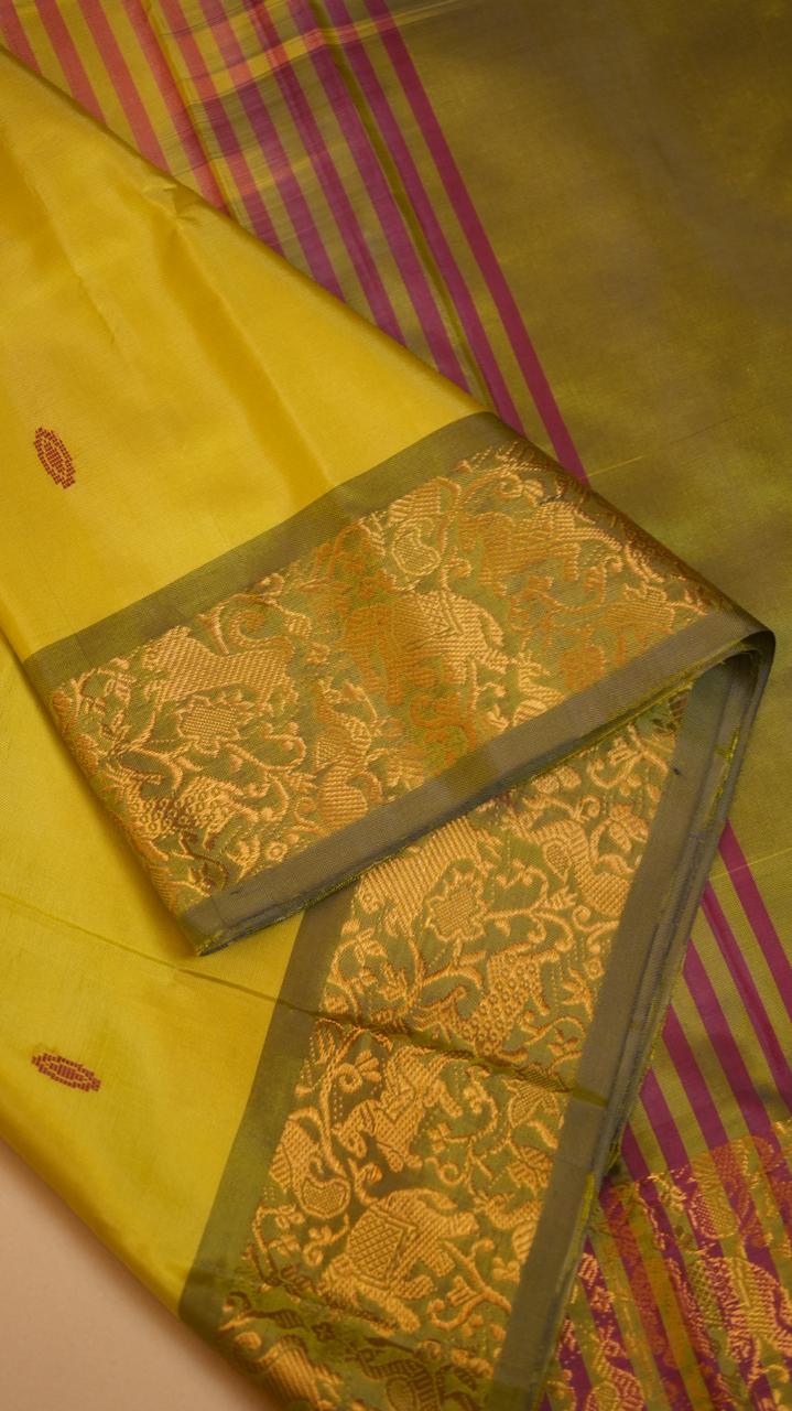 Chinnalampattu 6 Yards Saree - 03-04-01-15  (LEAFY ENCHANT)