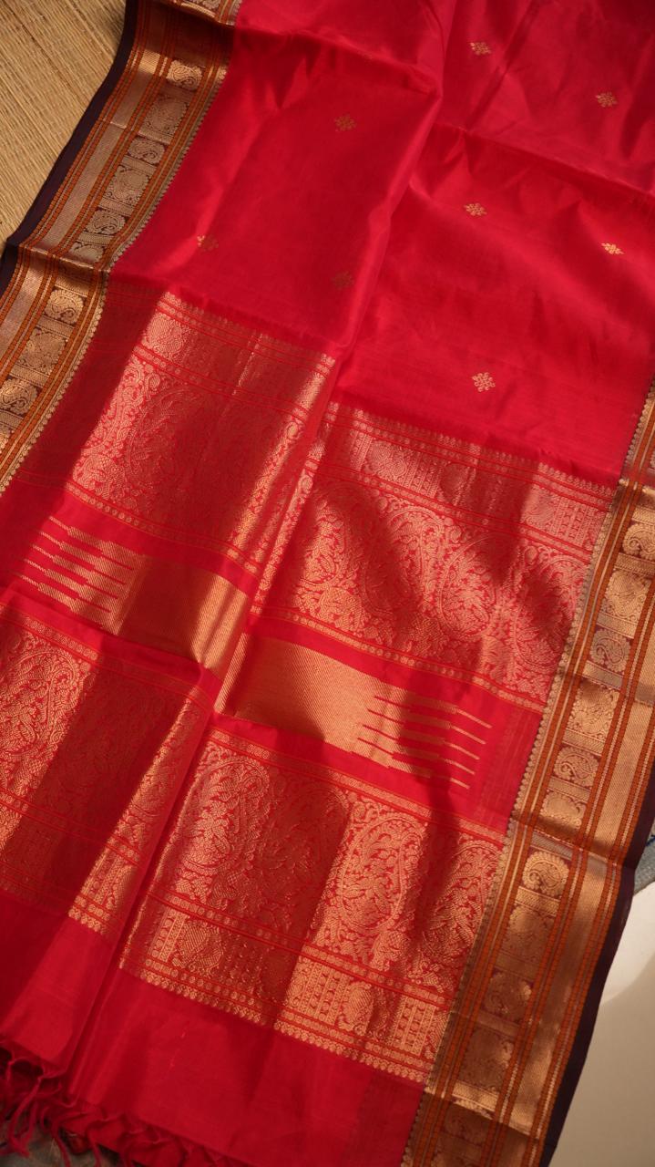 Kanchivaram Pure Silk Cotton Saree -01-08-06-01 ()