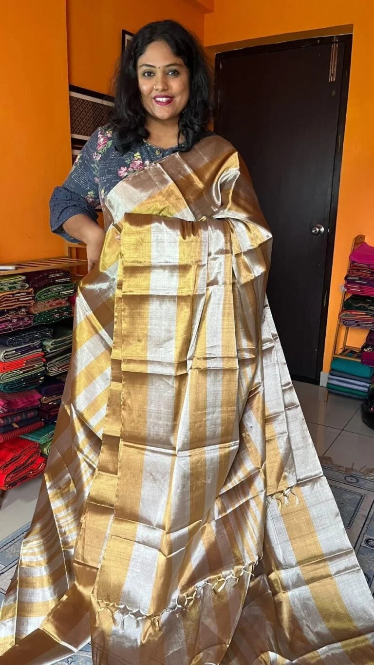 Chanderi Silk and Tissue Saree 51-12-01-02 Grey with Gold